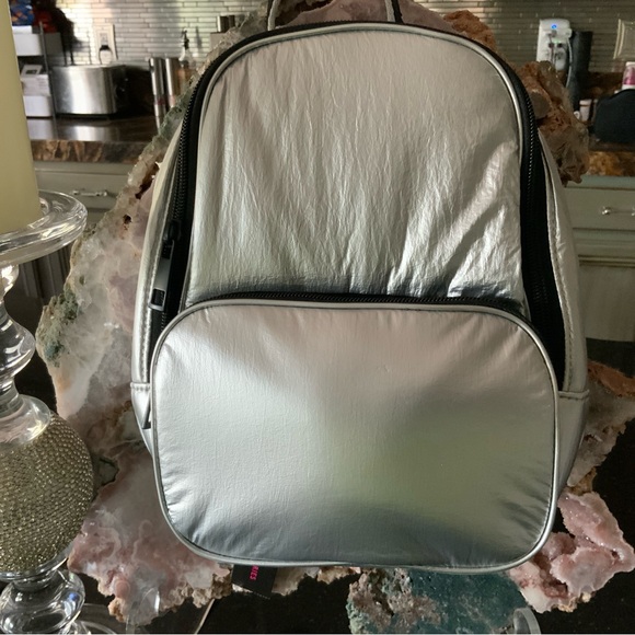 No BOUNDARIES Mini  Sliver Metallic backpack - Picture 2 of 12
